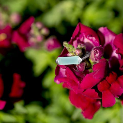 Green Chalcedony Bar Ring