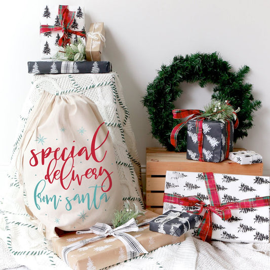 Special Delivery From Santa Christmas Sack