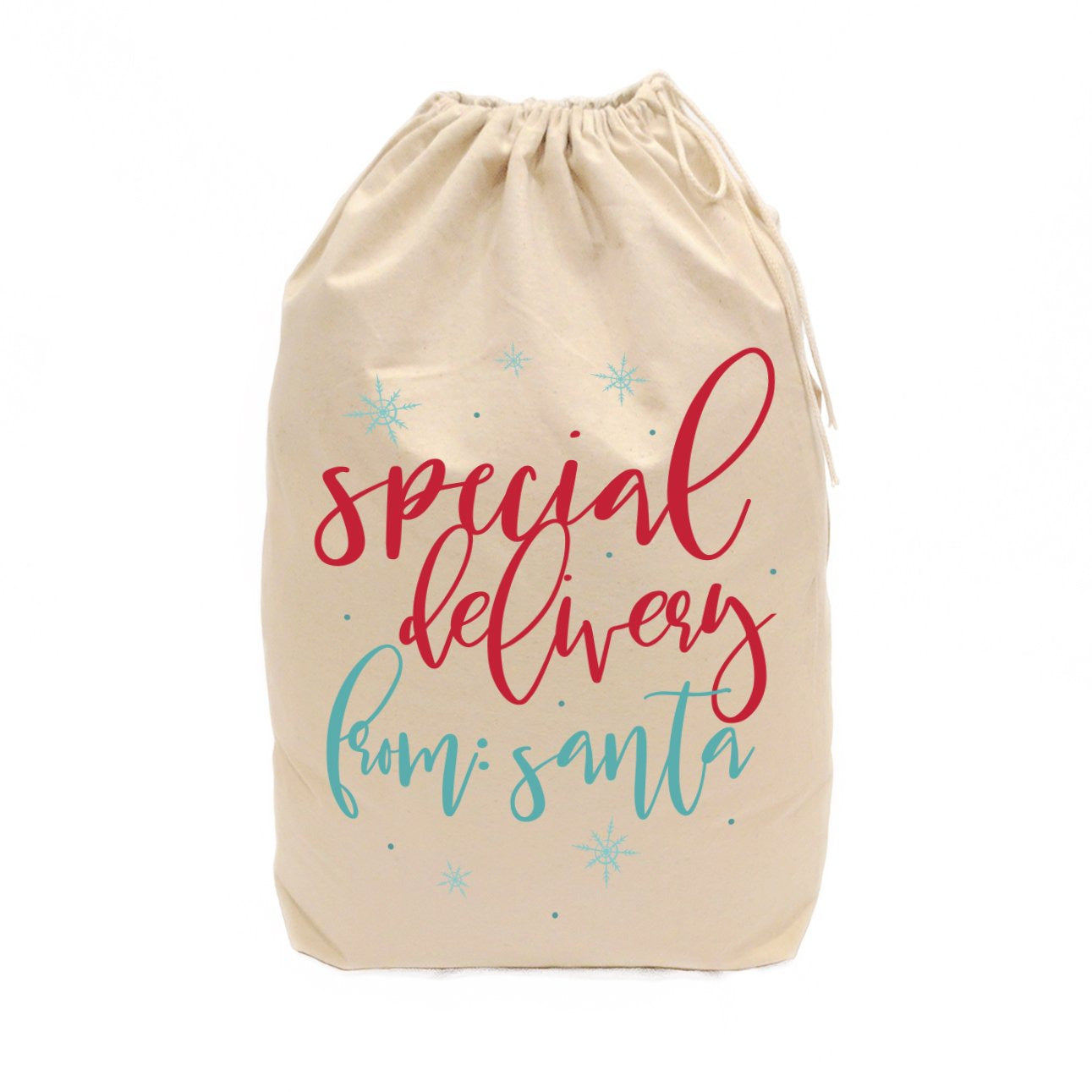 Special Delivery From Santa Christmas Sack